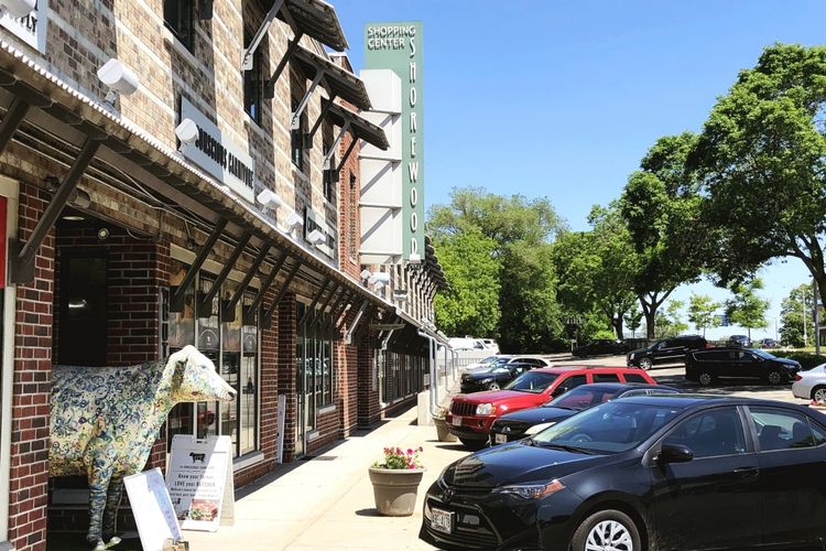 Shorewood Hills Homes for Sale and Realtors